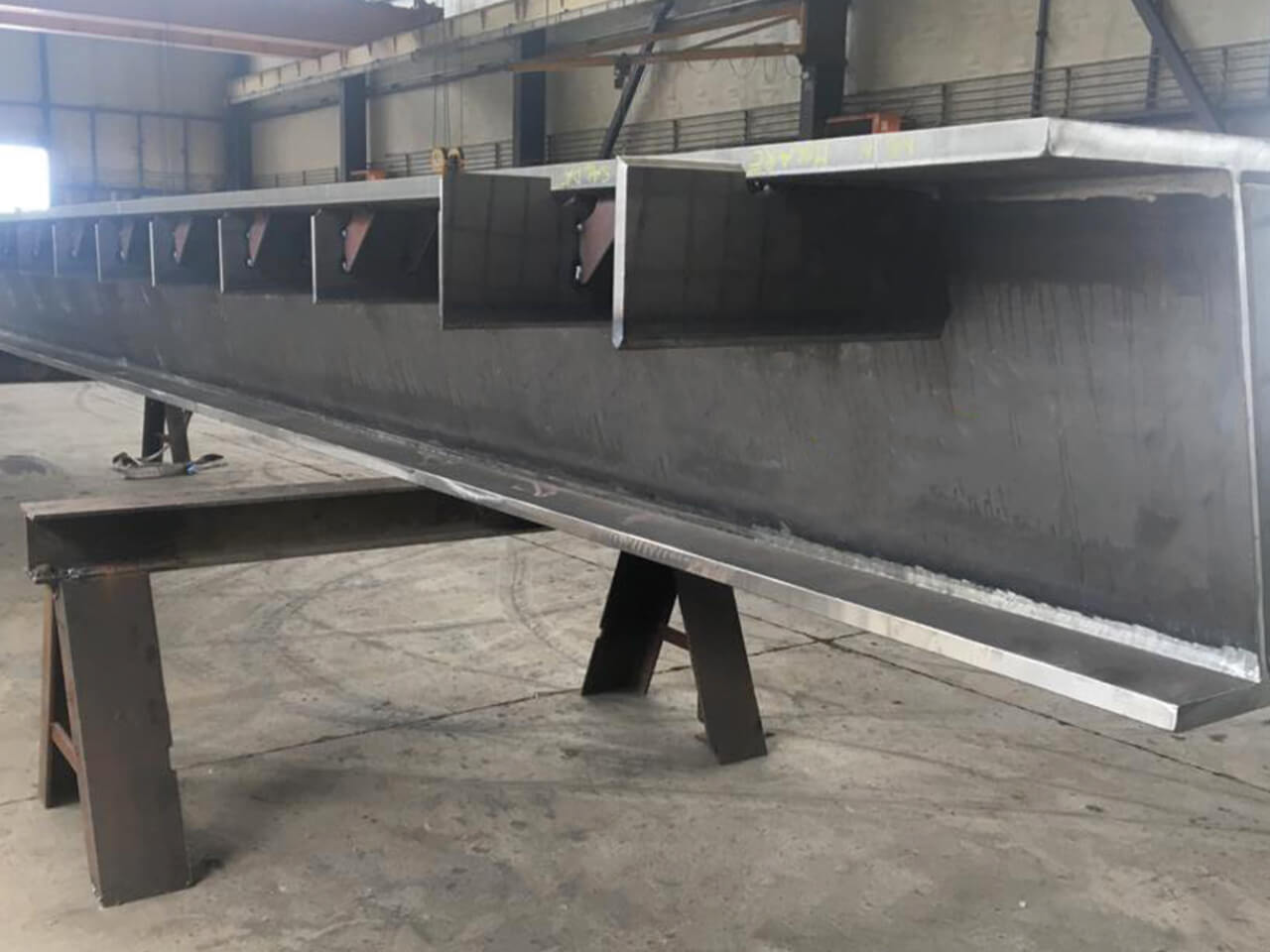 La professionalità sta nel sapere...