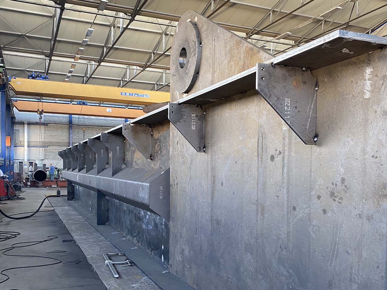 Se cresci in un mondo...