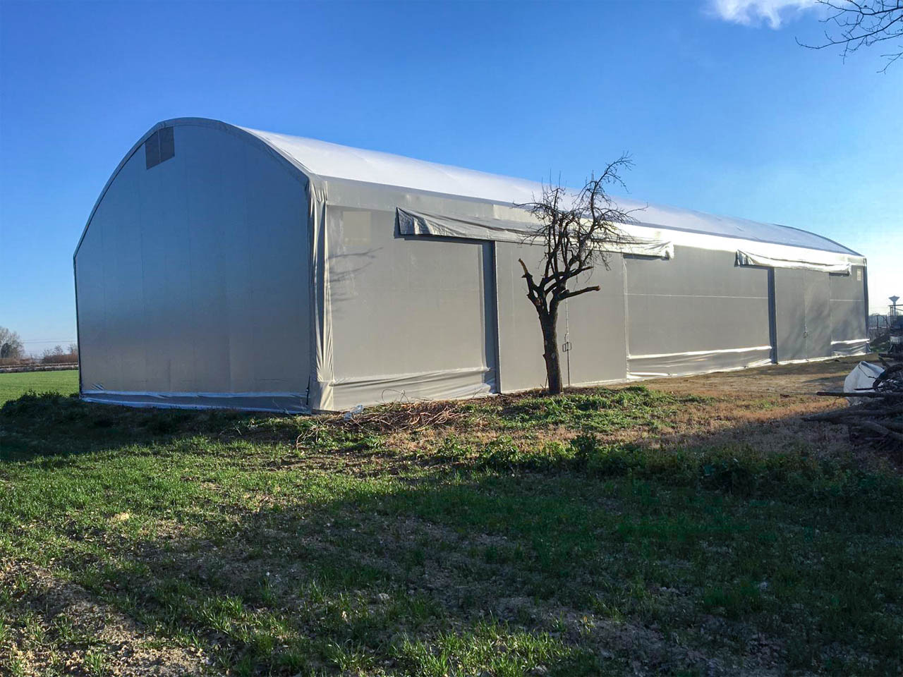 C’è qualcuno seduto all’ombra oggi ...