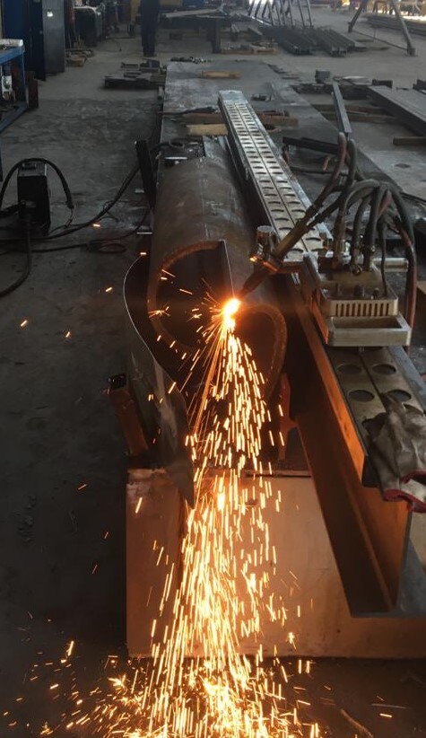 Coraggio non significa avere la forza di andare avanti